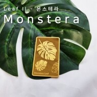[나뭇잎 시리즈 II] - Monstera 골드바 37.5g (몬스테라)